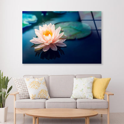 Pink Flower Floating on Top of a Pond Acrylic Glass Print Tempered Glass Wall Art 100% Made in Australia Ready to Hang