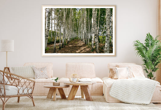 A Dirt Path Winding Through a Forest Home Decor Premium Quality Poster Print Choose Your Sizes