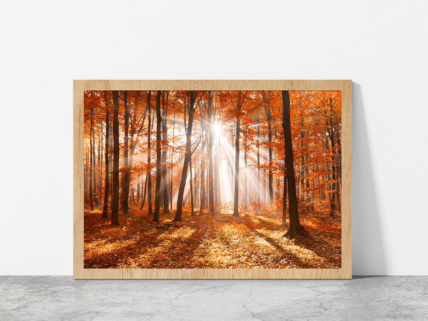 Morning In The Autumn Forest Glass Framed Wall Art, Ready to Hang Quality Print Without White Border Oak