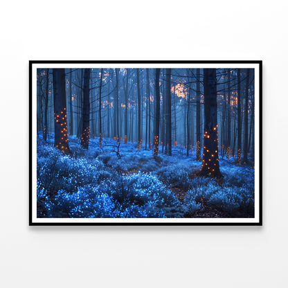 Forest in the Night Home Decor Premium Quality Poster Print Choose Your Sizes