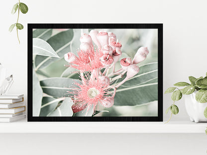 Gum Flowers & Leaves Faded Photograph Glass Framed Wall Art, Ready to Hang Quality Print Without White Border Black