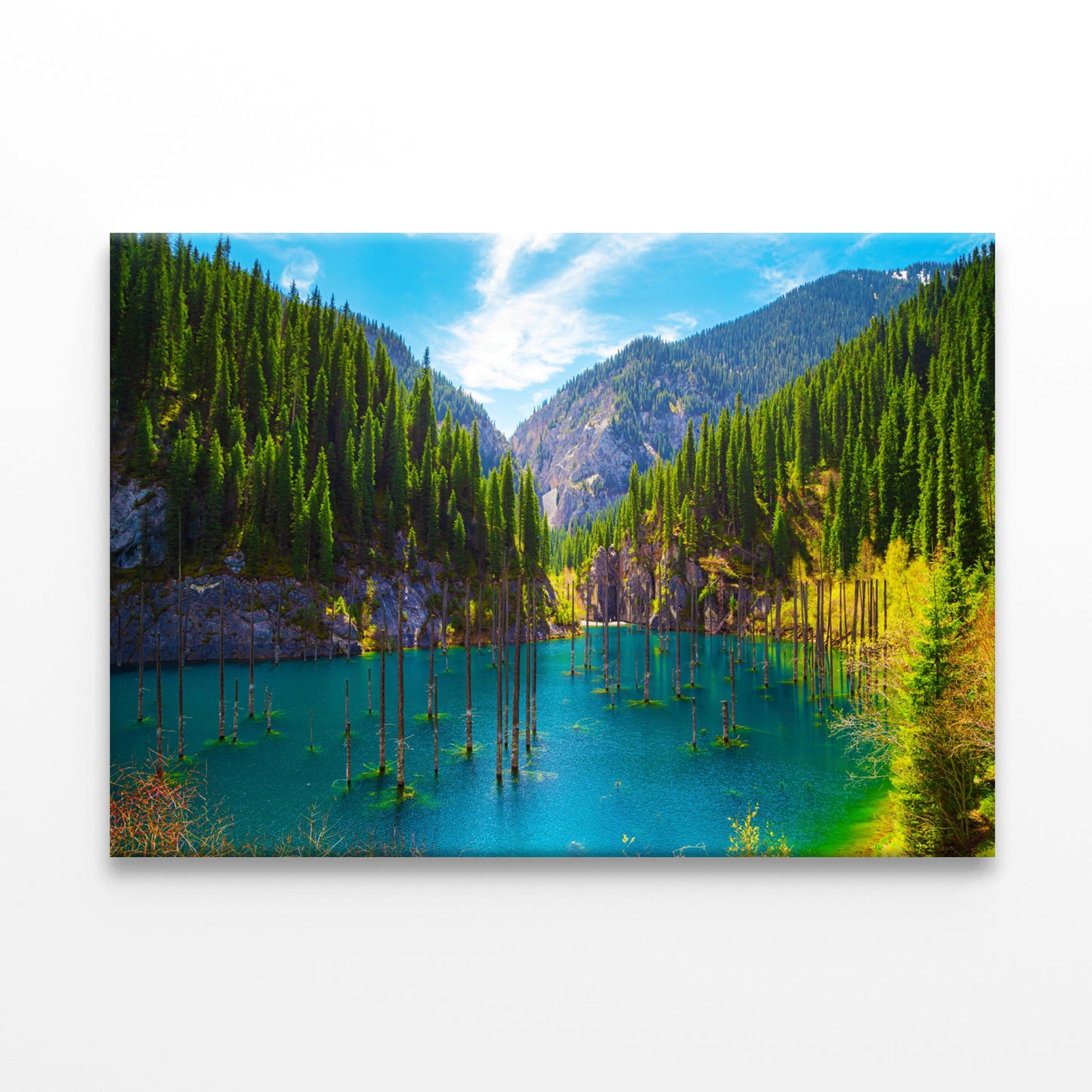 Sunken Forest in Kaindy Lake, Kaz Wall Art Decor 100% Australian Made