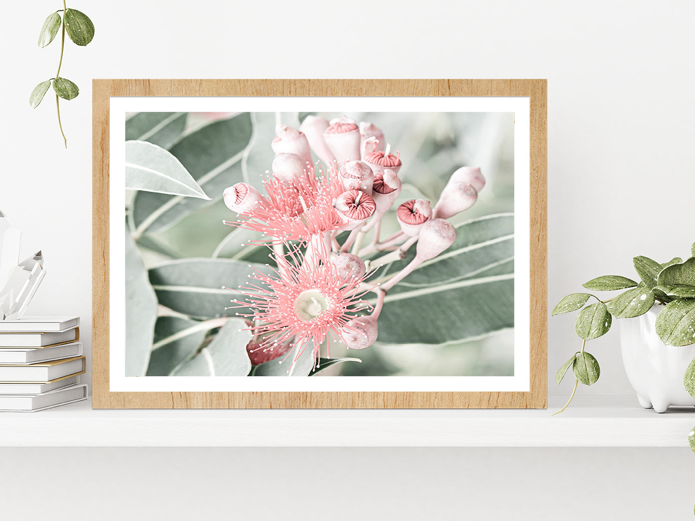 Gum Flowers & Leaves Faded Photograph Glass Framed Wall Art, Ready to Hang Quality Print With White Border Oak