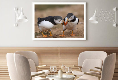 Atlantic Puffin Cliffs of Skomer Island Home Decor Premium Quality Poster Print Choose Your Sizes