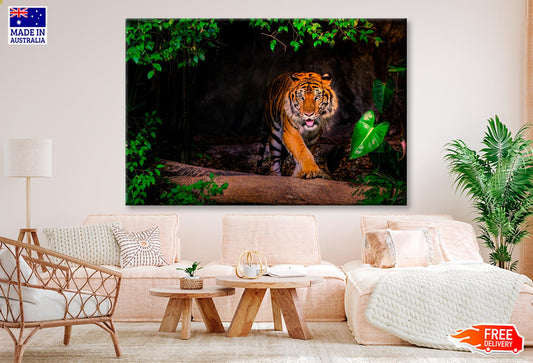 The Siberian Tiger & Forest View Wall Art Decor 100% Australian Made