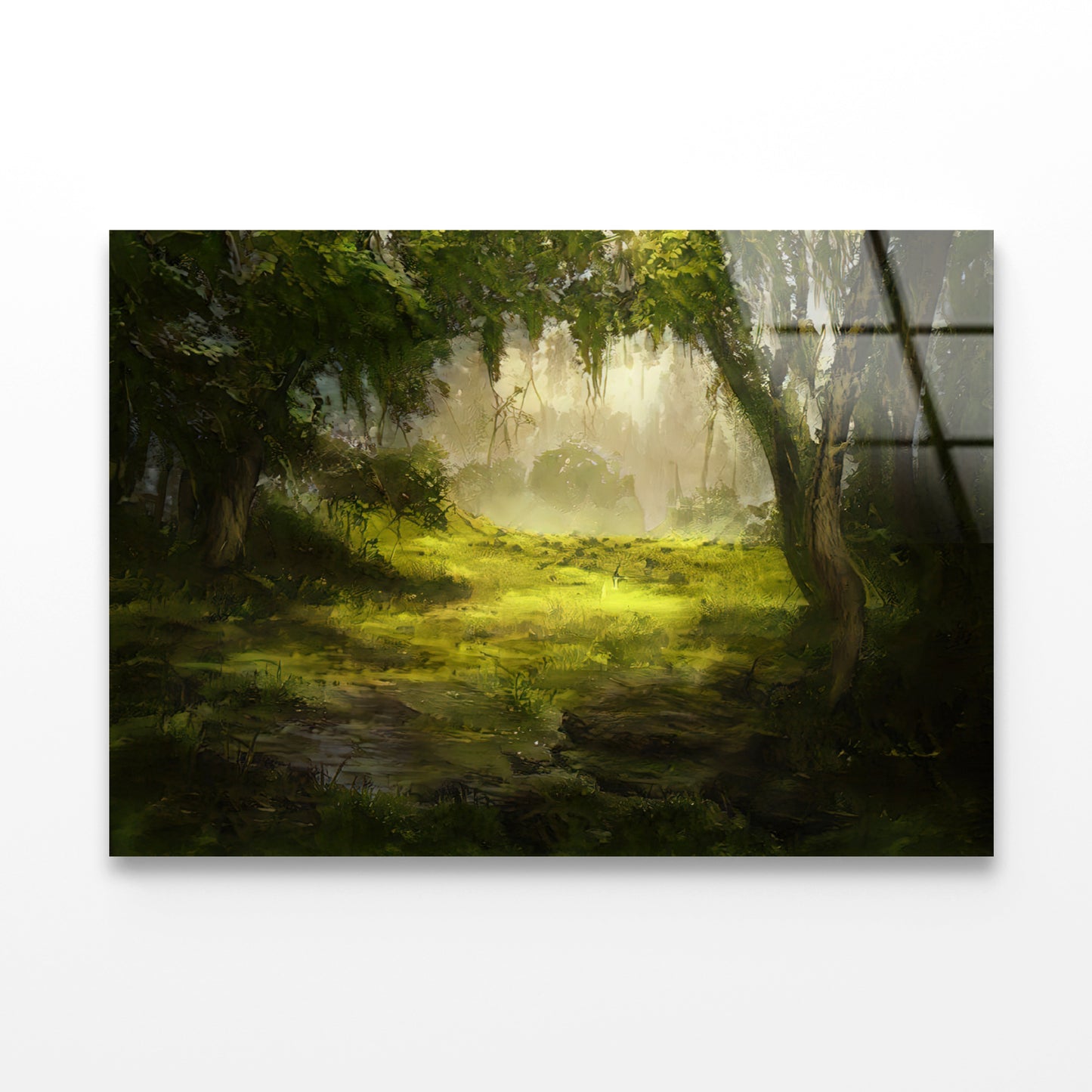 A Foggy Forest Scene with Trees and Grass Acrylic Glass Print Tempered Glass Wall Art 100% Made in Australia Ready to Hang