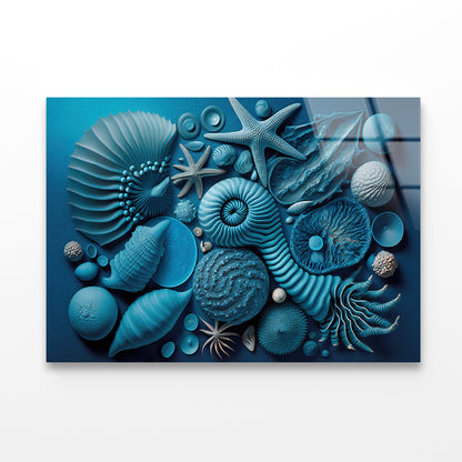 Group of Blue and White Shells Acrylic Glass Print Tempered Glass Wall Art 100% Made in Australia Ready to Hang