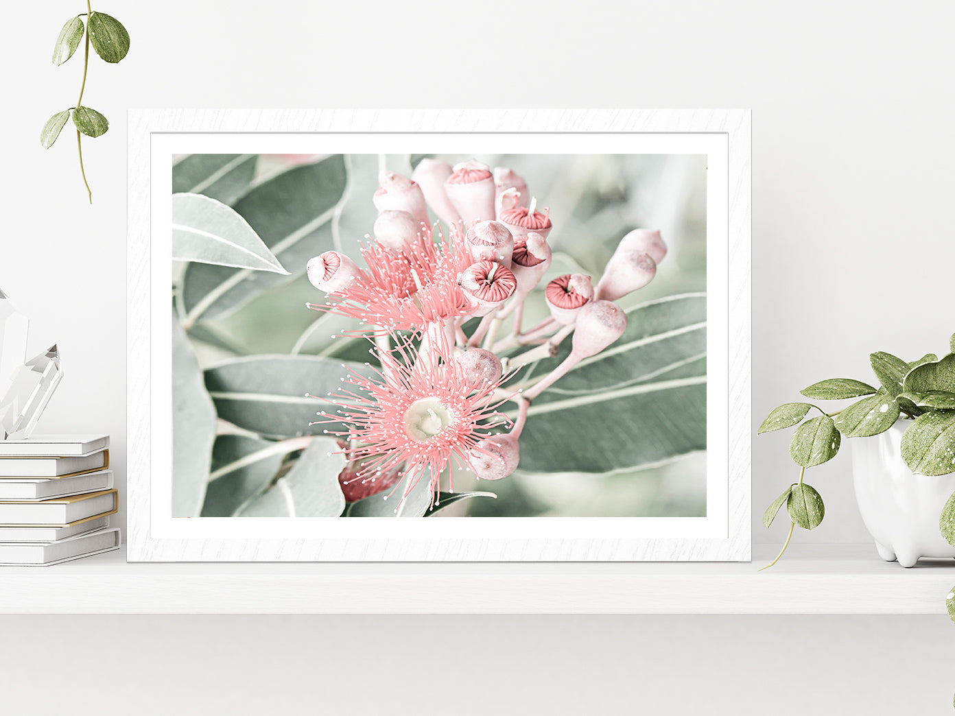 Gum Flowers & Leaves Faded Photograph Glass Framed Wall Art, Ready to Hang Quality Print With White Border White