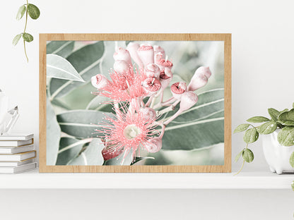 Gum Flowers & Leaves Faded Photograph Glass Framed Wall Art, Ready to Hang Quality Print Without White Border Oak