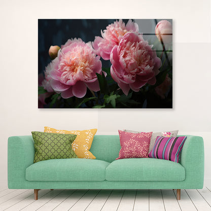 A Vase Filled With Fresh Pink Peonies Acrylic Glass Print Tempered Glass Wall Art 100% Made in Australia Ready to Hang