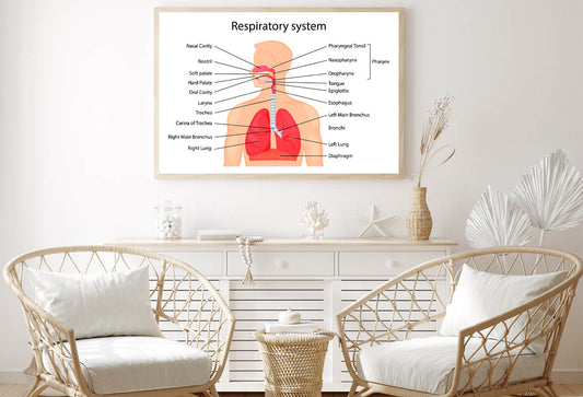 Human Respiratory System Home Decor Premium Quality Poster Print Choose Your Sizes