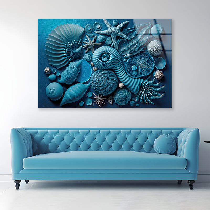 Group of Blue and White Shells Acrylic Glass Print Tempered Glass Wall Art 100% Made in Australia Ready to Hang