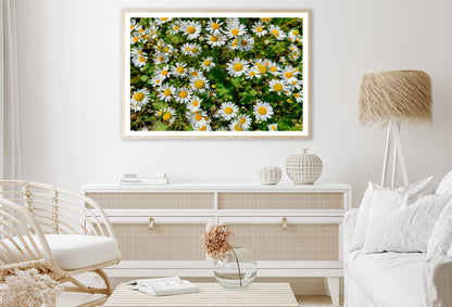 White Daisies Flowers Plants in Bloom Home Decor Premium Quality Poster Print Choose Your Sizes