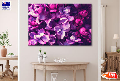 Purple Lilac Flowers Background  Wall Art Decor 100% Australian Made