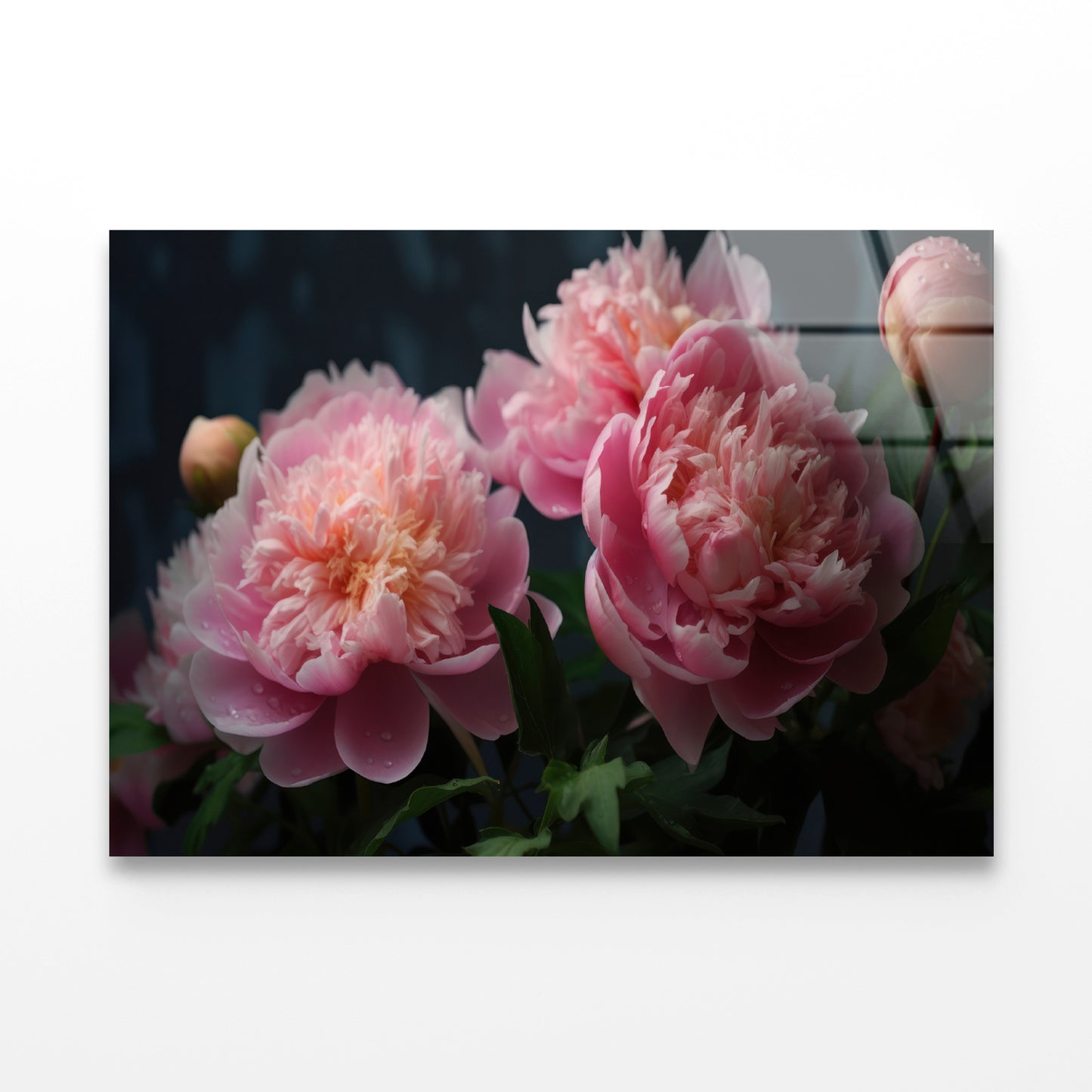 A Vase Filled With Fresh Pink Peonies Acrylic Glass Print Tempered Glass Wall Art 100% Made in Australia Ready to Hang