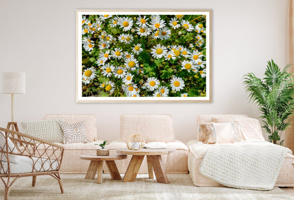 White Daisies Flowers Plants in Bloom Home Decor Premium Quality Poster Print Choose Your Sizes