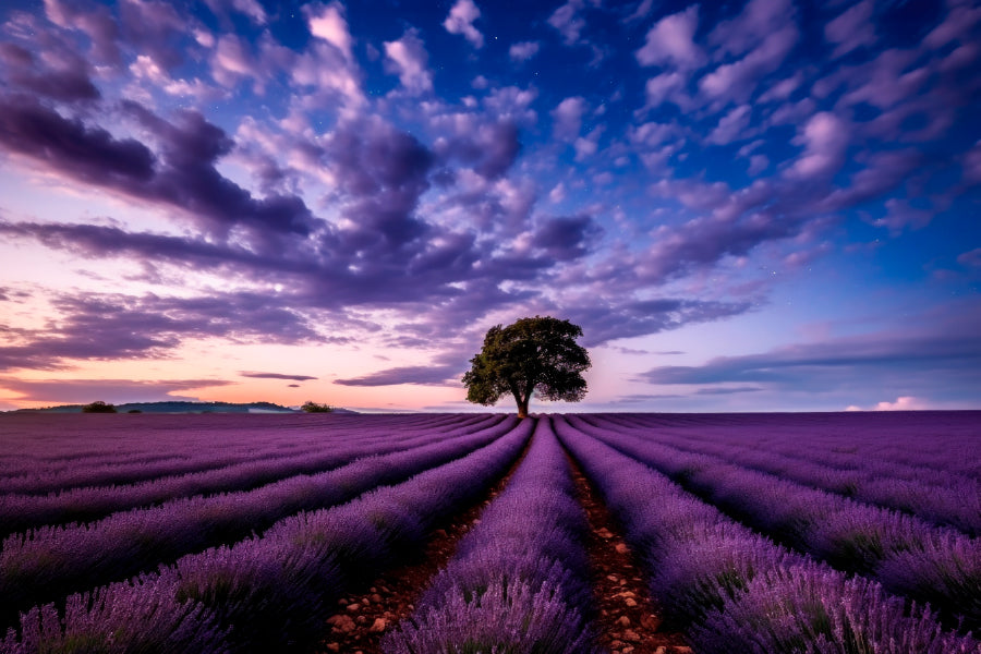 Lavender Field & Cloudy Night Sky Print 100% Australian Made