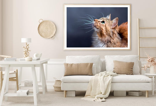 Cat With a Long Whisk on Its Face Home Decor Premium Quality Poster Print Choose Your Sizes