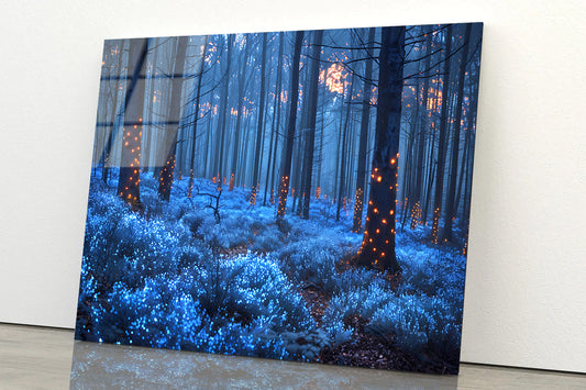 Forest in the Night Acrylic Glass Print Tempered Glass Wall Art 100% Made in Australia Ready to Hang