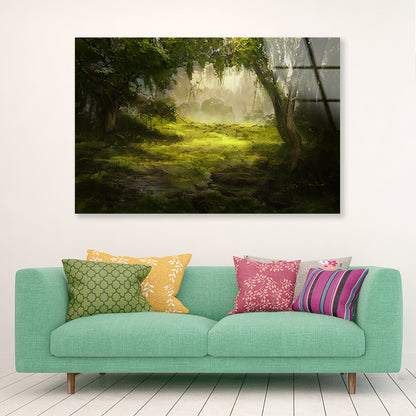 A Foggy Forest Scene with Trees and Grass Acrylic Glass Print Tempered Glass Wall Art 100% Made in Australia Ready to Hang