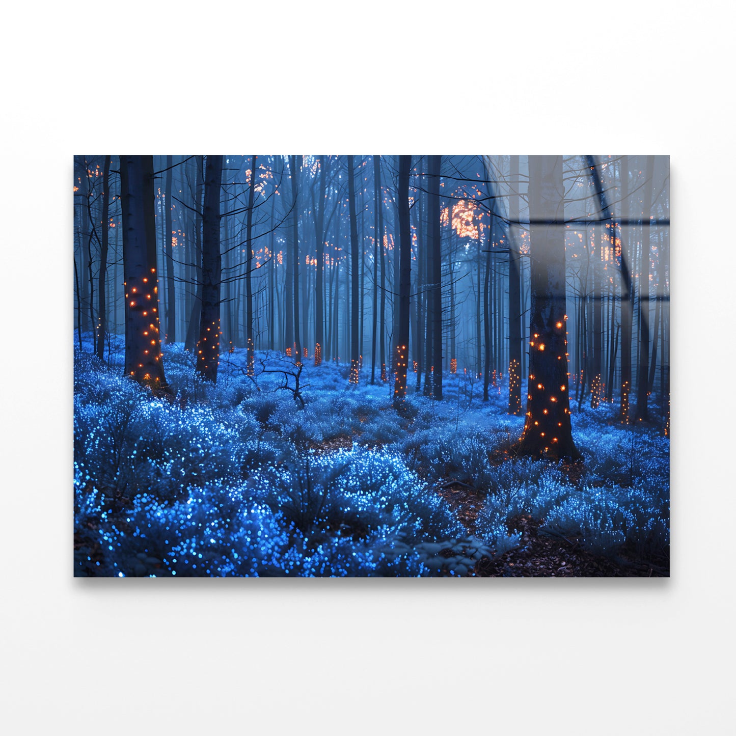 Forest in the Night Acrylic Glass Print Tempered Glass Wall Art 100% Made in Australia Ready to Hang