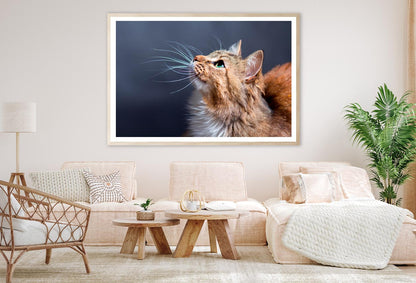 Cat With a Long Whisk on Its Face Home Decor Premium Quality Poster Print Choose Your Sizes