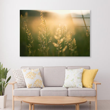 Green Grass in Summer Forest at Sunset  Acrylic Glass Print Tempered Glass Wall Art 100% Made in Australia Ready to Hang