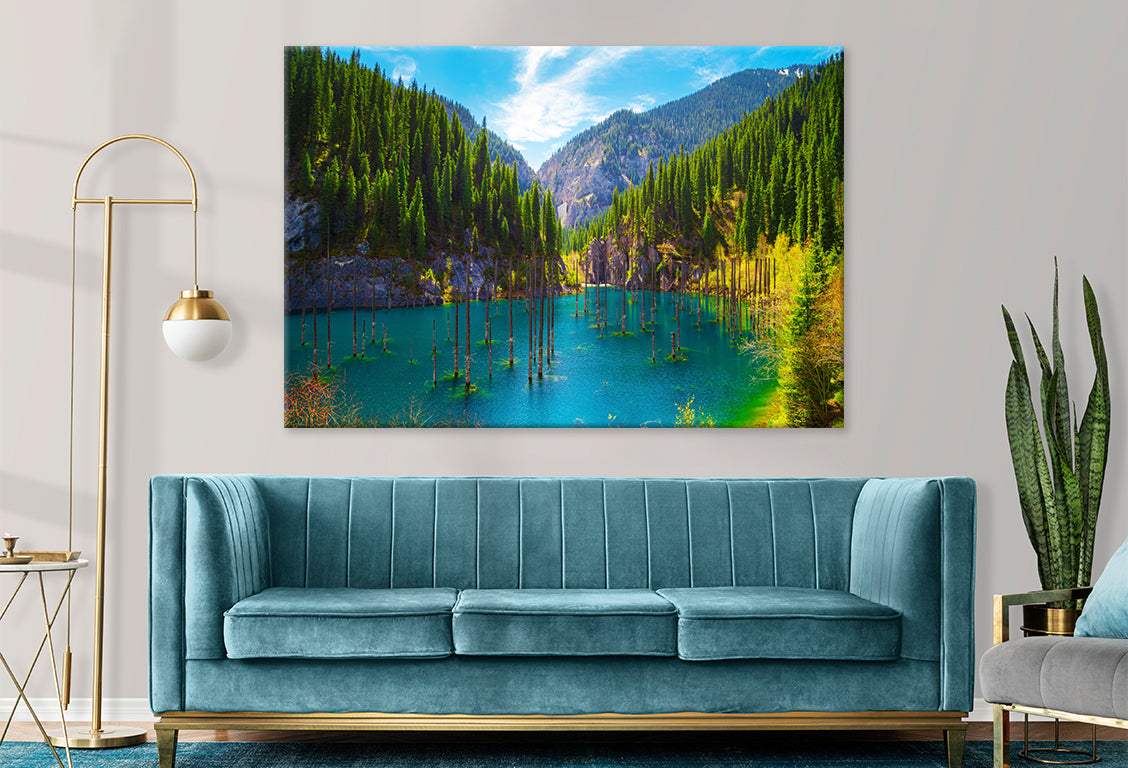 Sunken Forest in Kaindy Lake, Kaz Wall Art Decor 100% Australian Made