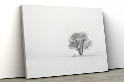 Trees in winter snow UV Direct Aluminum Print Australian Made Quality