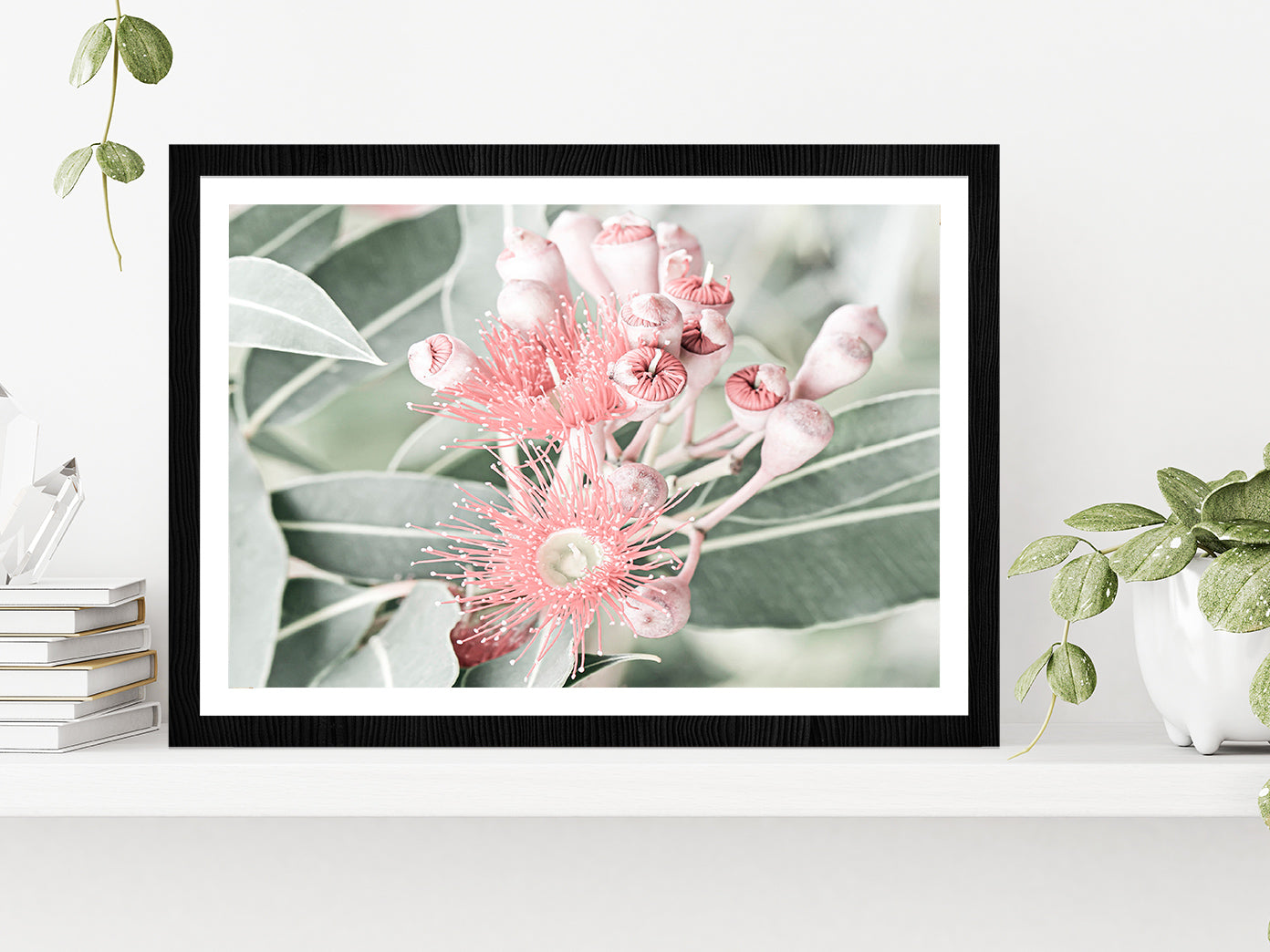 Gum Flowers & Leaves Faded Photograph Glass Framed Wall Art, Ready to Hang Quality Print With White Border Black