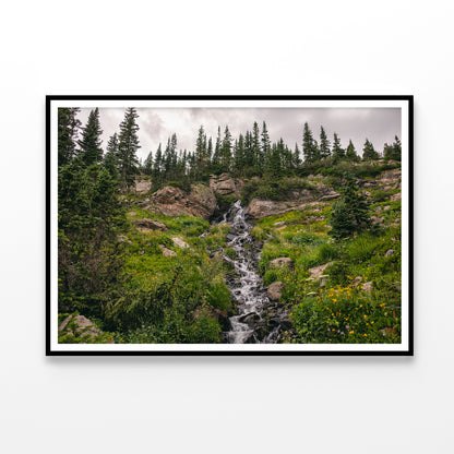 Bunch Of Green Pine Tree on Rocks Home Decor Premium Quality Poster Print Choose Your Sizes