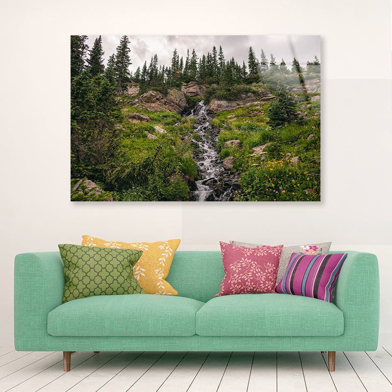 Bunch Of Green Pine Tree on Rocks Acrylic Glass Print Tempered Glass Wall Art 100% Made in Australia Ready to Hang