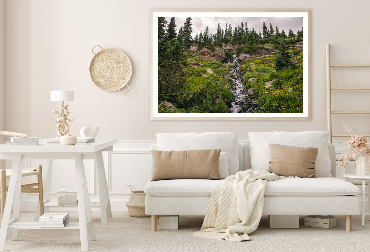 Bunch Of Green Pine Tree on Rocks Home Decor Premium Quality Poster Print Choose Your Sizes