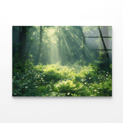 Morning in the Forest Acrylic Glass Print Tempered Glass Wall Art 100% Made in Australia Ready to Hang