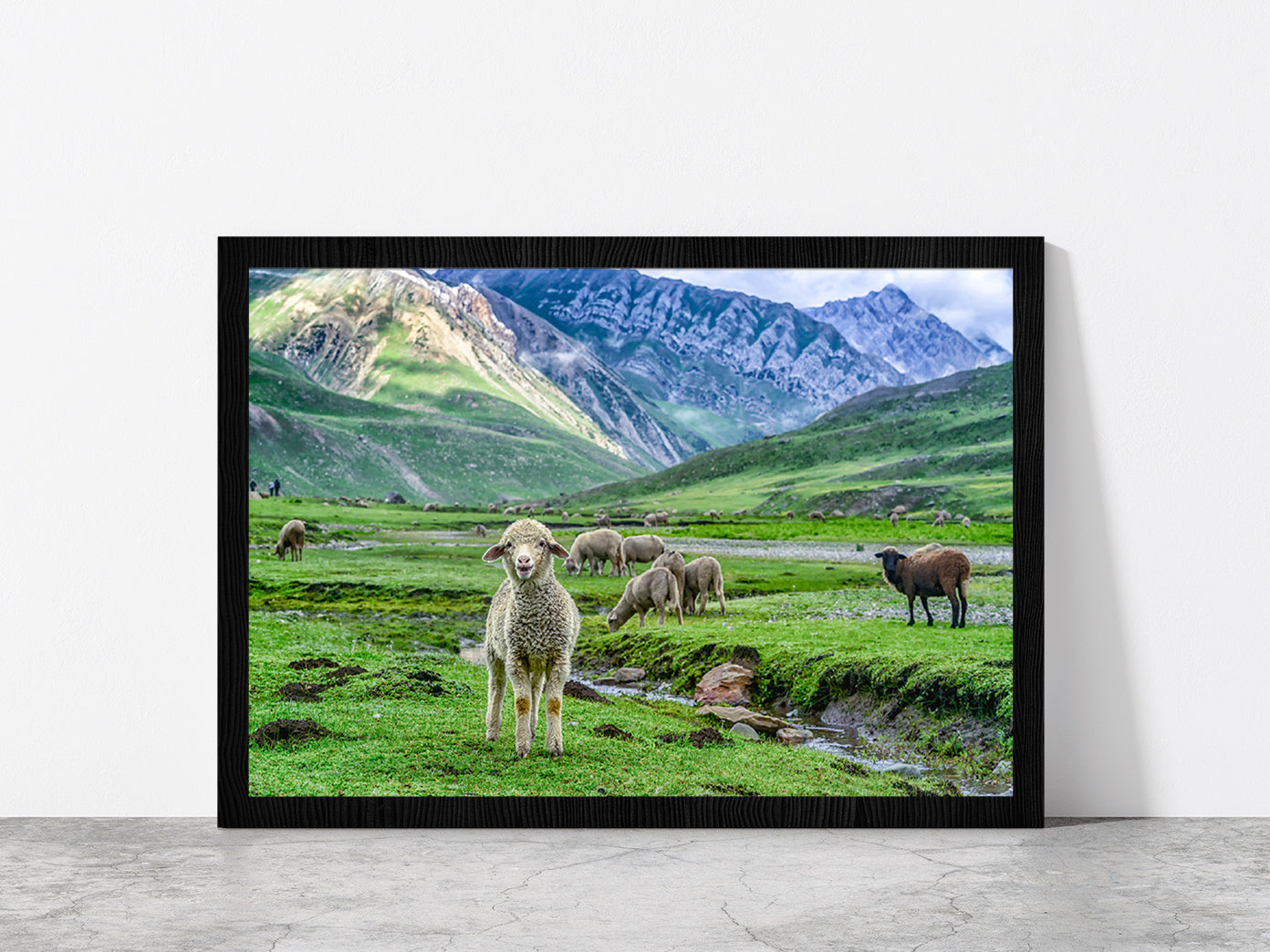 Sheep In Beautiful Mountain Glass Framed Wall Art, Ready to Hang Quality Print Without White Border Black