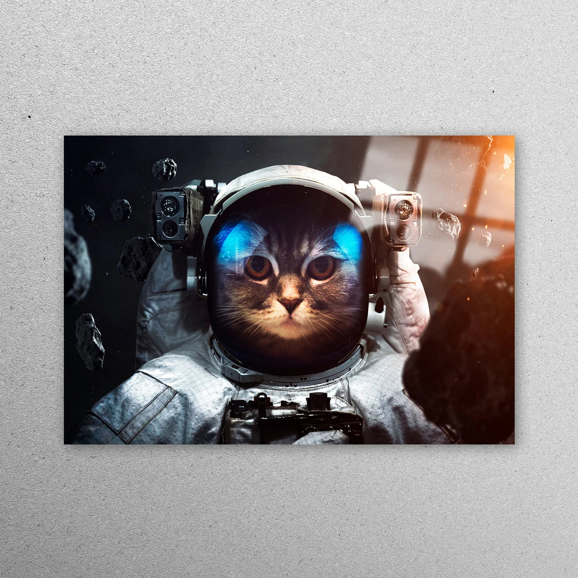 Cat Abstract Astronaut Acrylic Glass Print Tempered Glass Wall Art 100% Made in Australia Ready to Hang