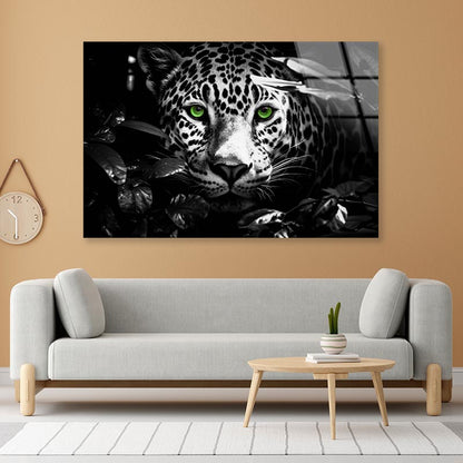 Close-Up Exotic Forest Animal Acrylic Glass Print Tempered Glass Wall Art 100% Made in Australia Ready to Hang