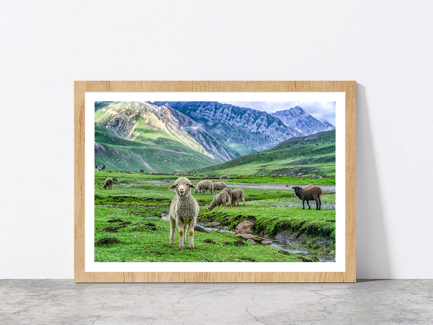 Sheep In Beautiful Mountain Glass Framed Wall Art, Ready to Hang Quality Print With White Border Oak