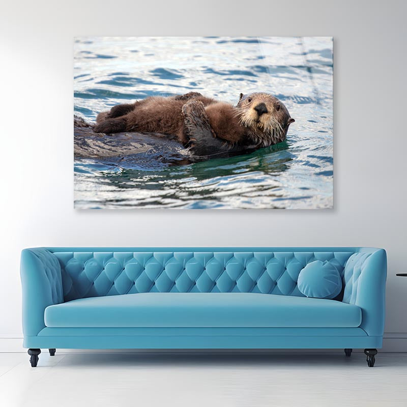 Watchful And Protective Sea Acrylic Glass Print Tempered Glass Wall Art 100% Made in Australia Ready to Hang