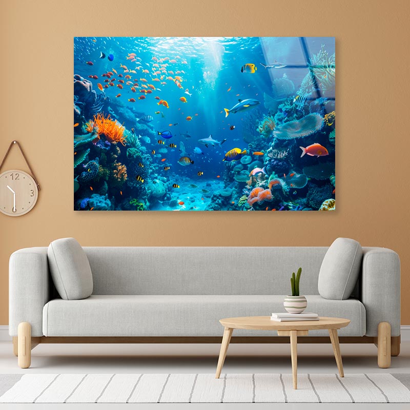 Underwater Scene Showcasing a Diverse Coral Reef  Acrylic Glass Print Tempered Glass Wall Art 100% Made in Australia Ready to Hang