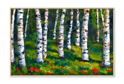 Birch Forest In Spring Oil Painting Wall Art Limited Edition High Quality Print Canvas Box Framed Natural