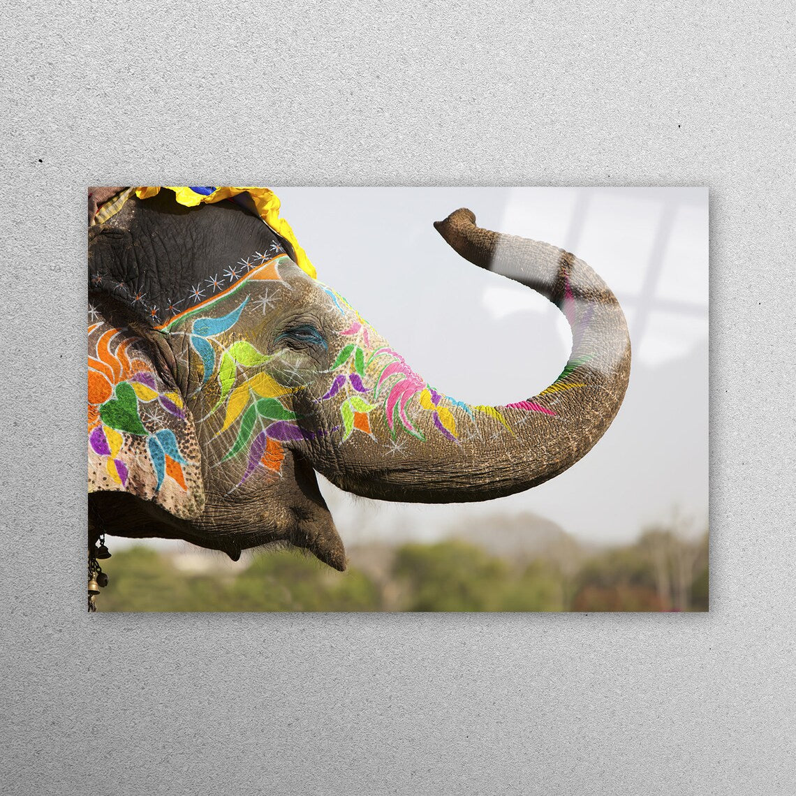 Colorful Elephant Wall Art Acrylic Glass Print Tempered Glass Wall Art 100% Made in Australia Ready to Hang