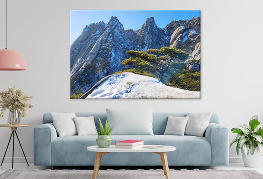 Winter Snow on Deogyusan Mountain  Wall Art Decor 100% Australian Made