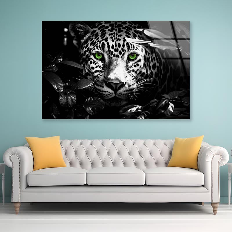 Close-Up Exotic Forest Animal Acrylic Glass Print Tempered Glass Wall Art 100% Made in Australia Ready to Hang