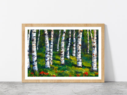 Birch Forest In Spring Glass Framed Wall Art, Ready to Hang Quality Print With White Border Oak