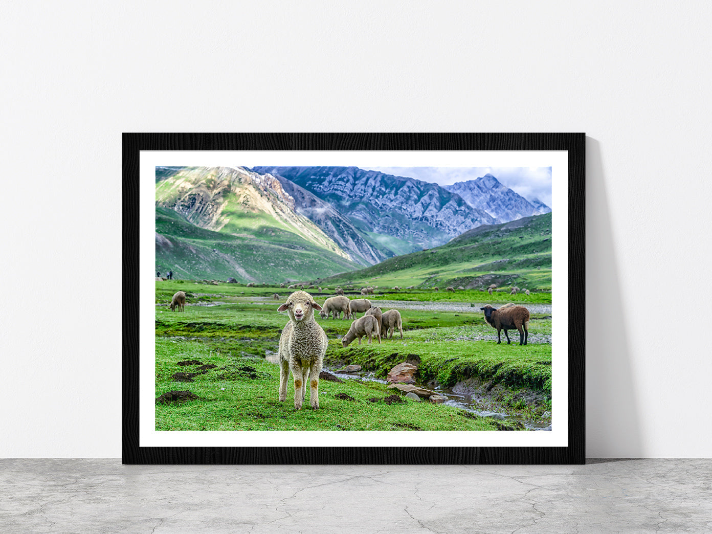 Sheep In Beautiful Mountain Glass Framed Wall Art, Ready to Hang Quality Print With White Border Black