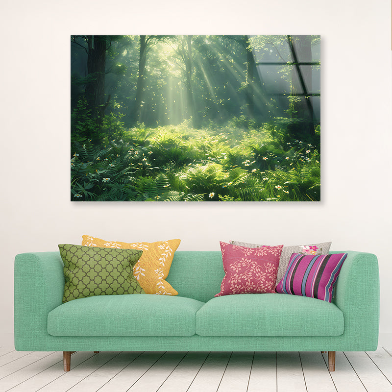 Morning in the Forest Acrylic Glass Print Tempered Glass Wall Art 100% Made in Australia Ready to Hang