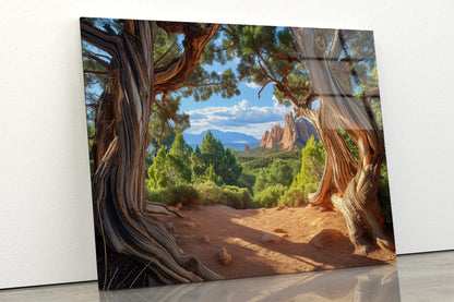 Tree with a Scenic Backdrop of a Mountain Range Acrylic Glass Print Tempered Glass Wall Art 100% Made in Australia Ready to Hang