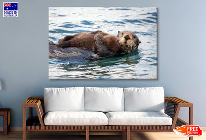 Watchful And Protective Sea Wall Art Decor 100% Australian Made