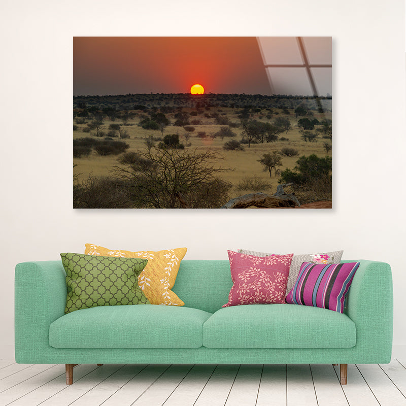 Nature View with Trees and a Sunset Acrylic Glass Print Tempered Glass Wall Art 100% Made in Australia Ready to Hang